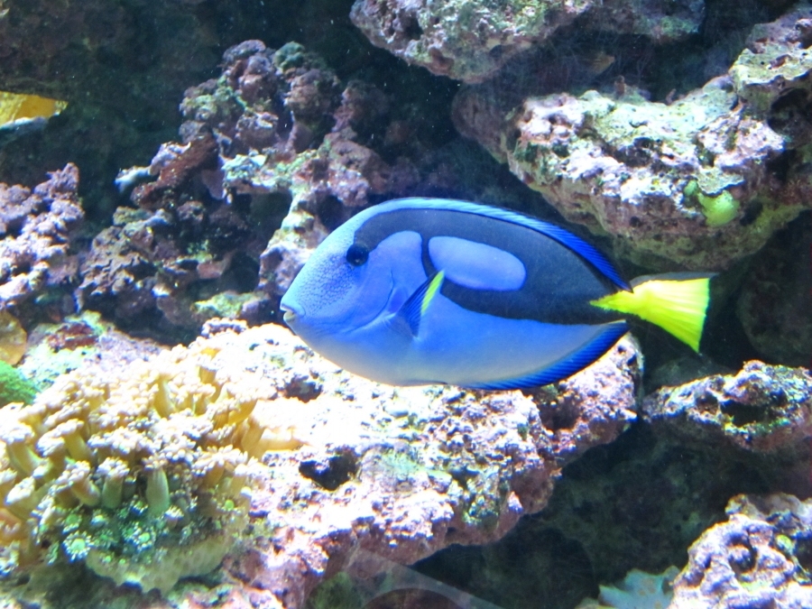 IMG_5089.JPG