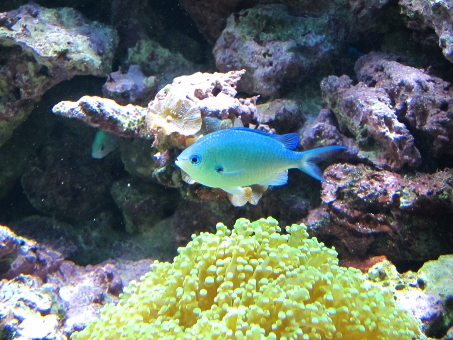 IMG_5090.JPG