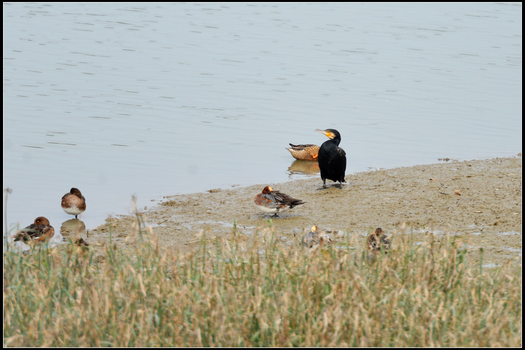 DSC_5138.jpg