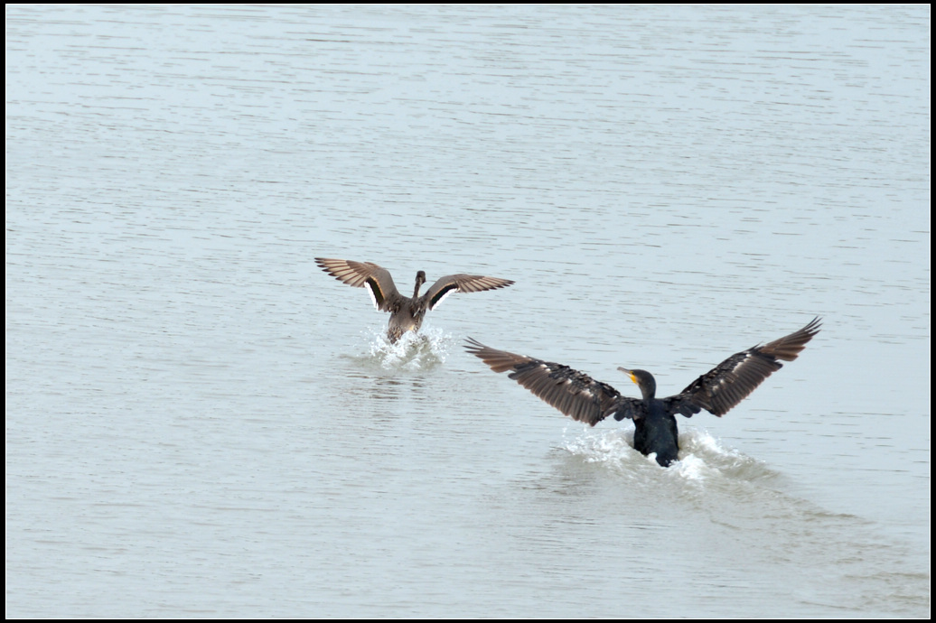 DSC_5144.jpg