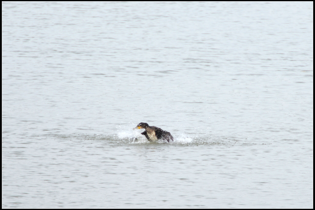 DSC_5200.jpg