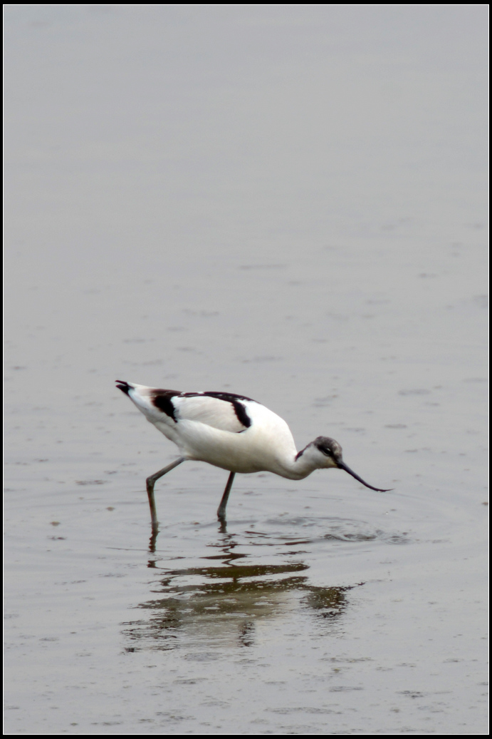DSC_5248.jpg
