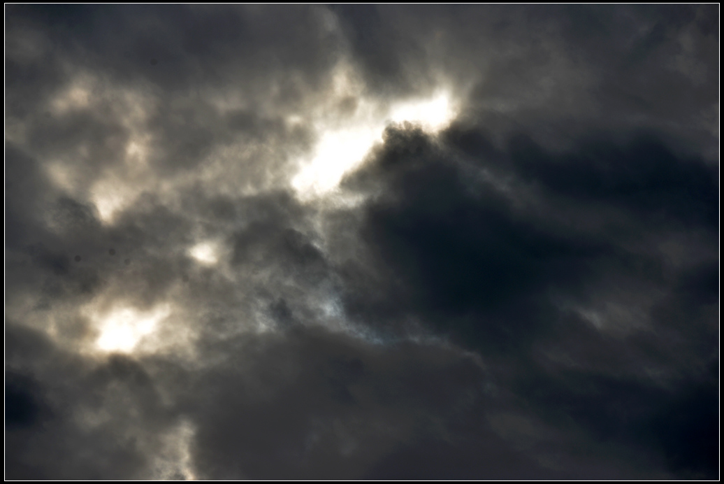 DSC_5315.jpg