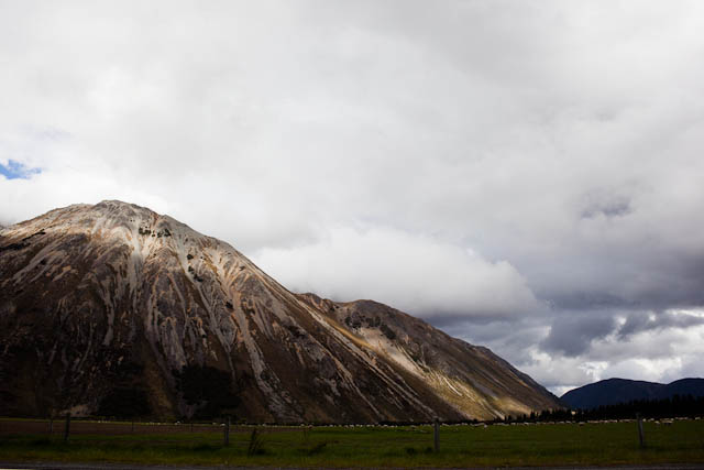 _MG_7944.jpg