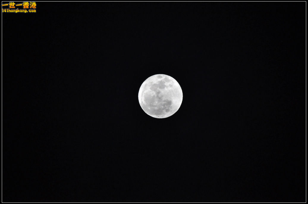 DSC_0262.jpg