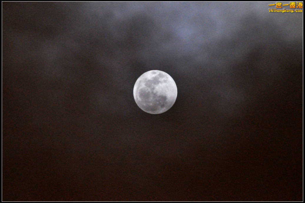 DSC_0266.jpg