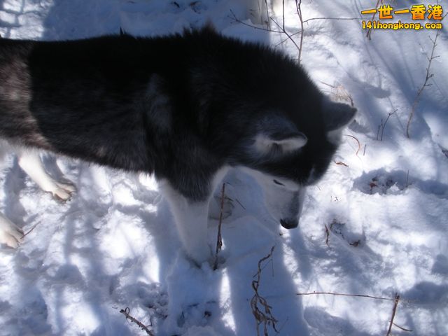 DSCN0381.JPG