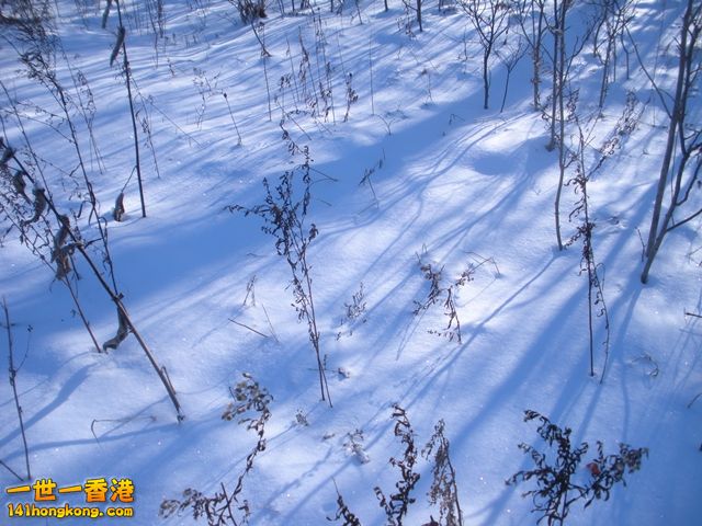 DSCN0366.JPG