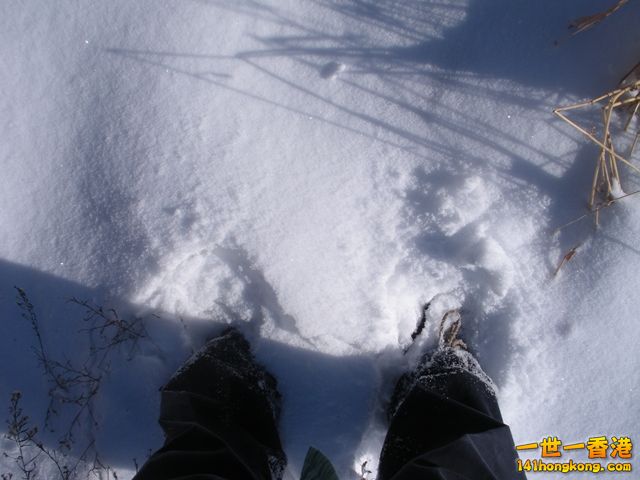 DSCN0356.JPG