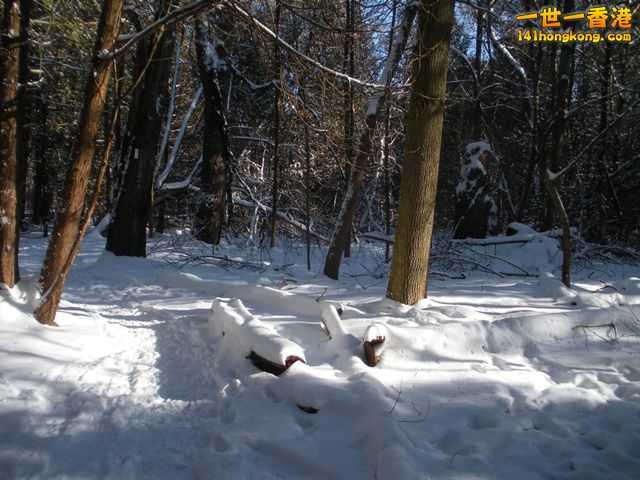 DSCN0344.JPG