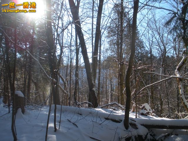 DSCN0337.JPG