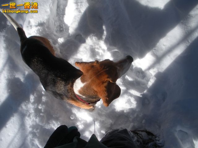 DSCN0312.JPG