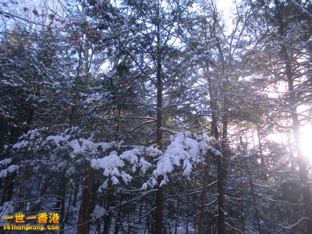 DSCN0287.JPG