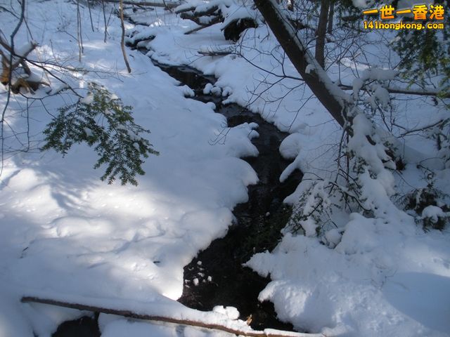DSCN0284.JPG