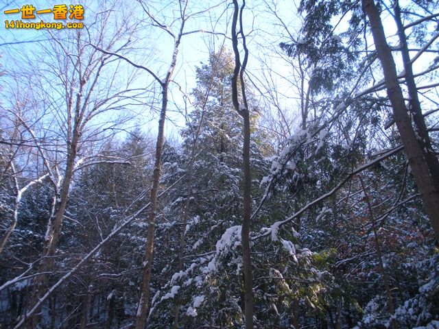 DSCN0280.JPG