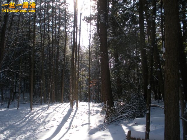 DSCN0272.JPG
