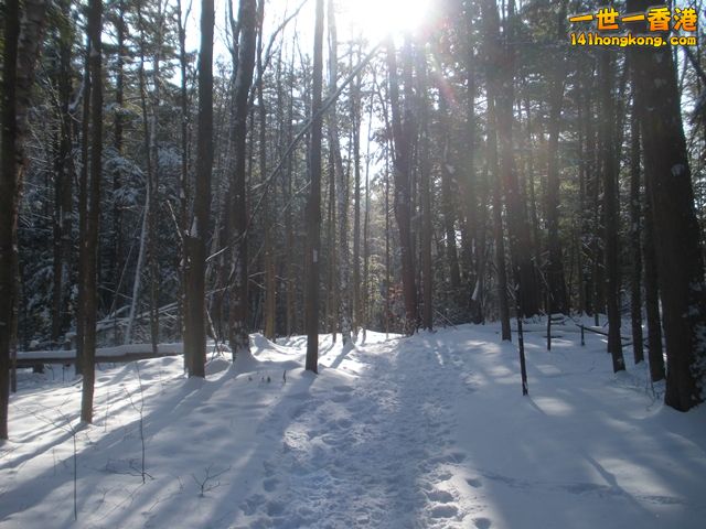 DSCN0270.JPG