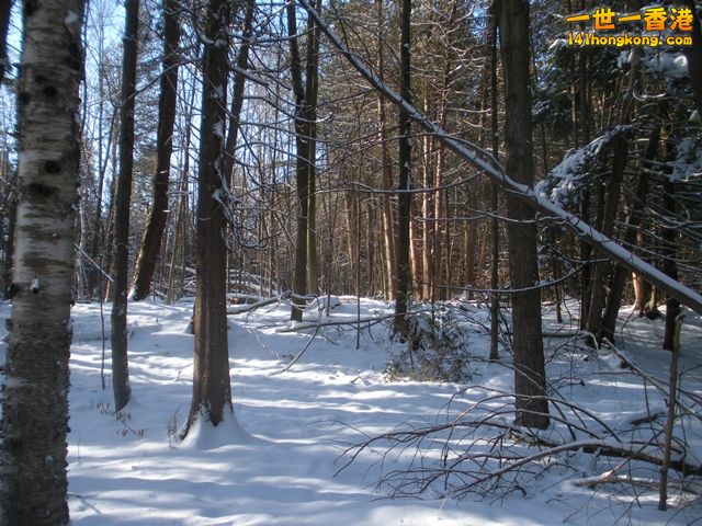 DSCN0269.JPG