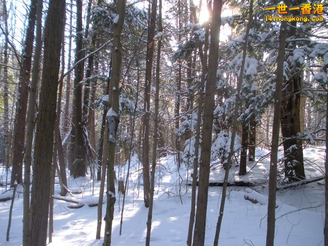 DSCN0264.JPG