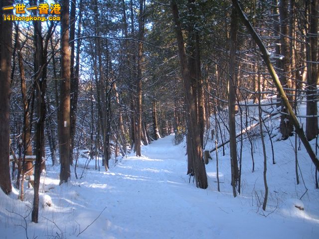 DSCN0258.JPG