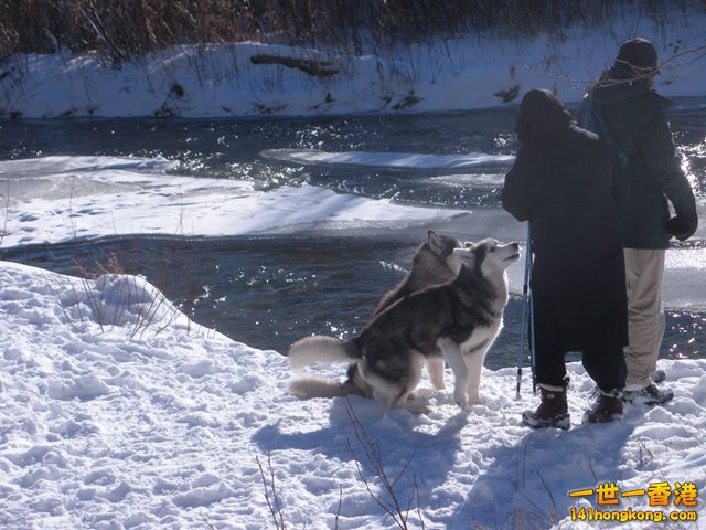 DSCN0592.JPG