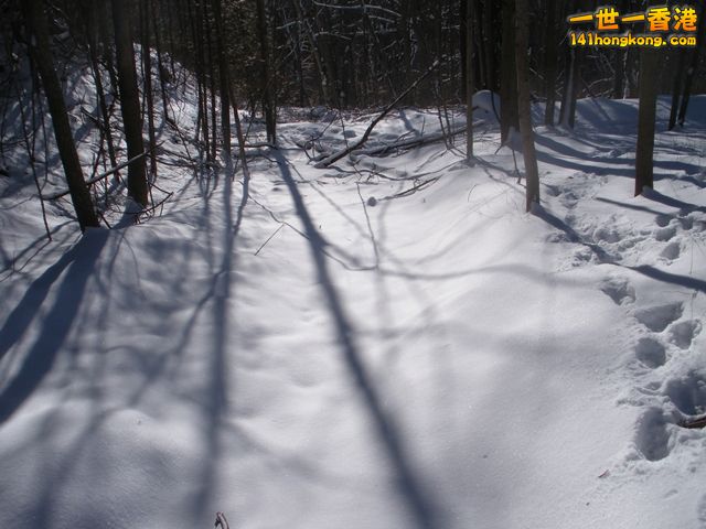 DSCN0597.JPG