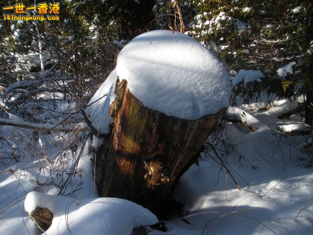 DSCN0588.JPG