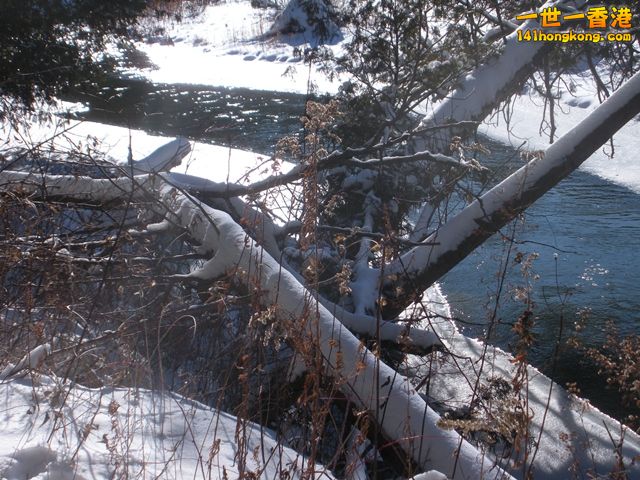 DSCN0586.JPG
