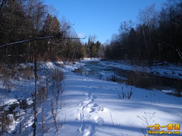 DSCN0569.JPG