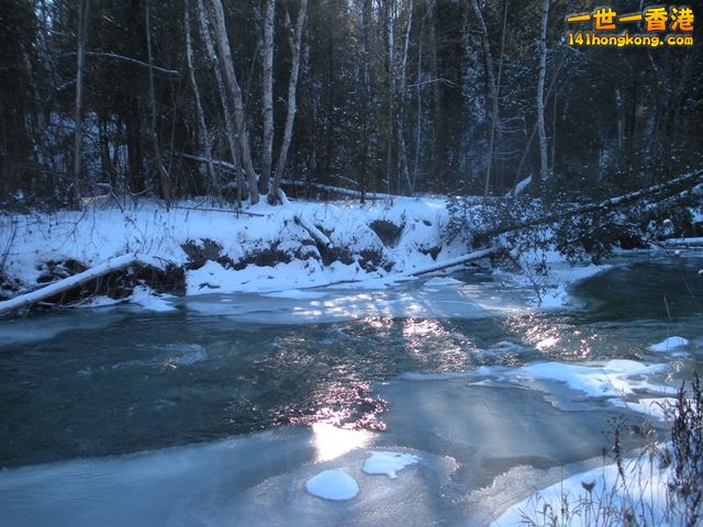 DSCN0567.JPG