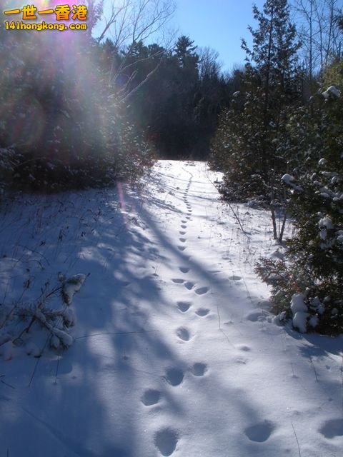 DSCN0546.JPG