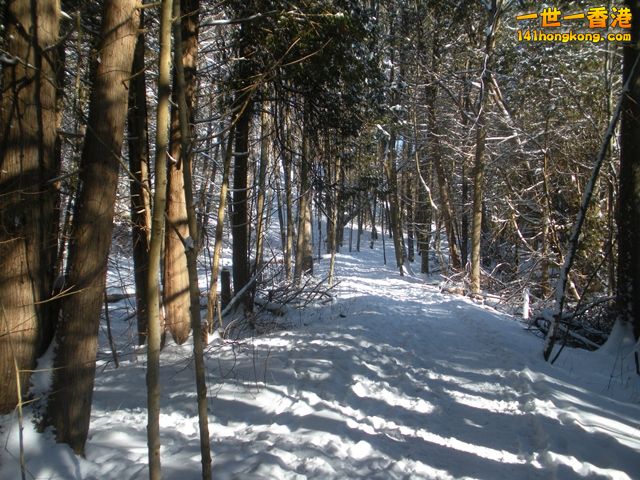 DSCN0541.JPG