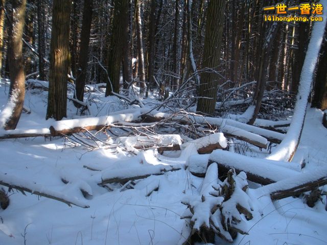 DSCN0504.JPG
