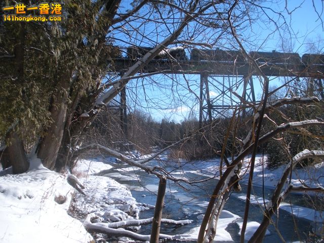 DSCN0490.JPG