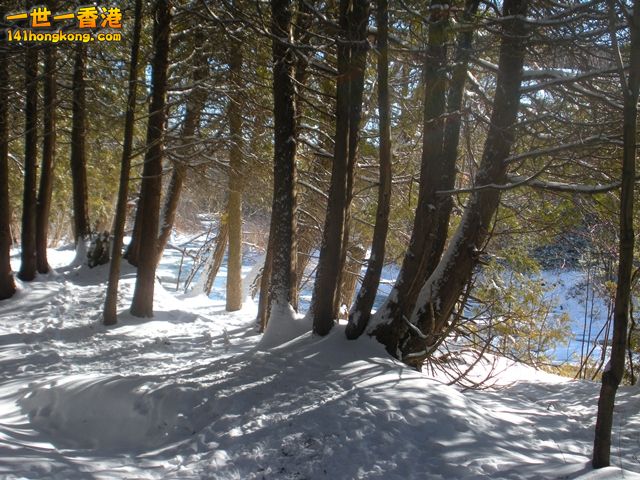 DSCN0484.JPG