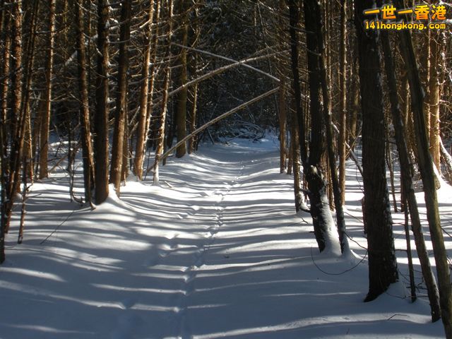 DSCN0479.JPG