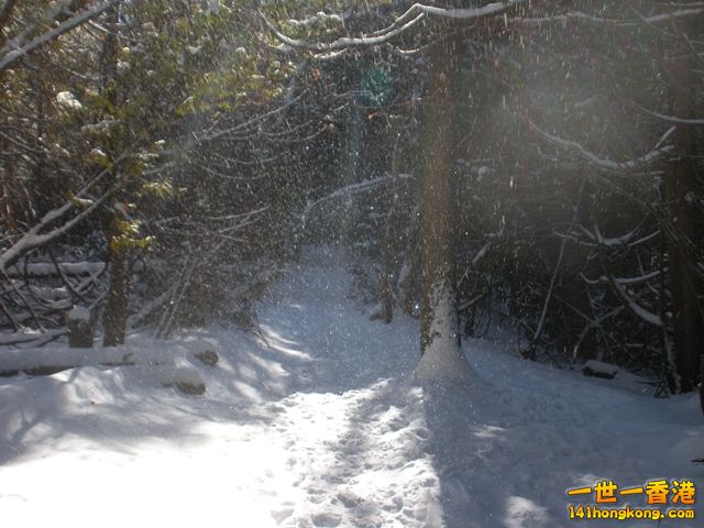DSCN0456.JPG