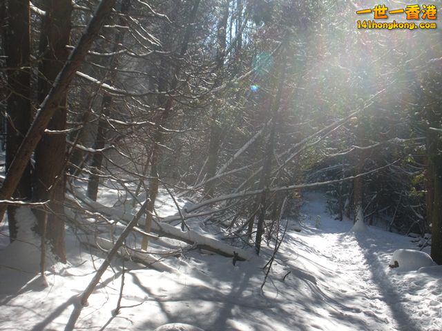 DSCN0450.JPG