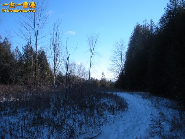 DSCN0405.JPG