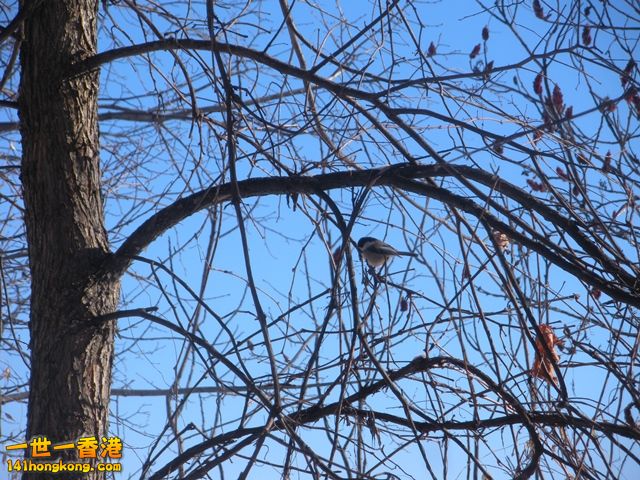 DSCN0387.JPG