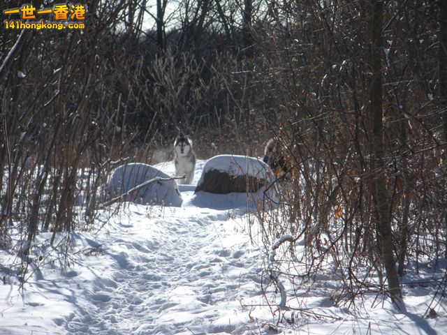 DSCN0378.JPG