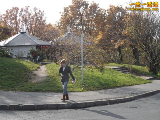 SAM_0021.JPG