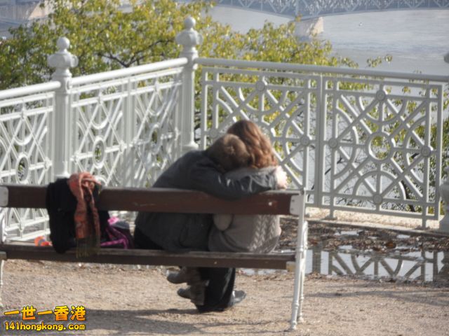 SAM_0049.JPG
