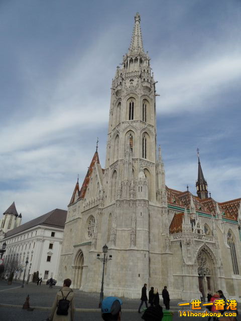 SAM_0079.JPG