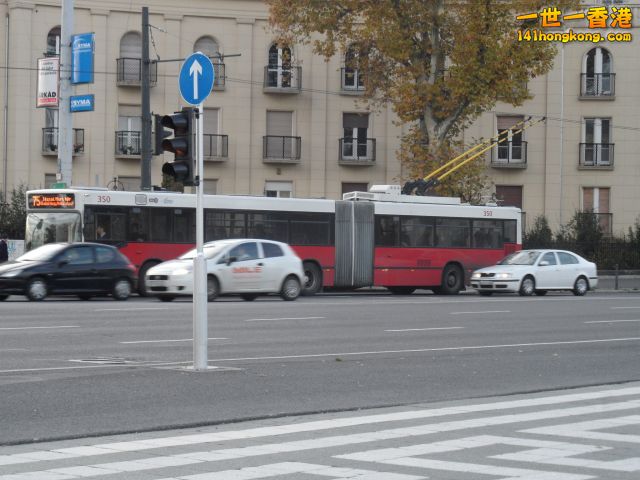SAM_0113.JPG