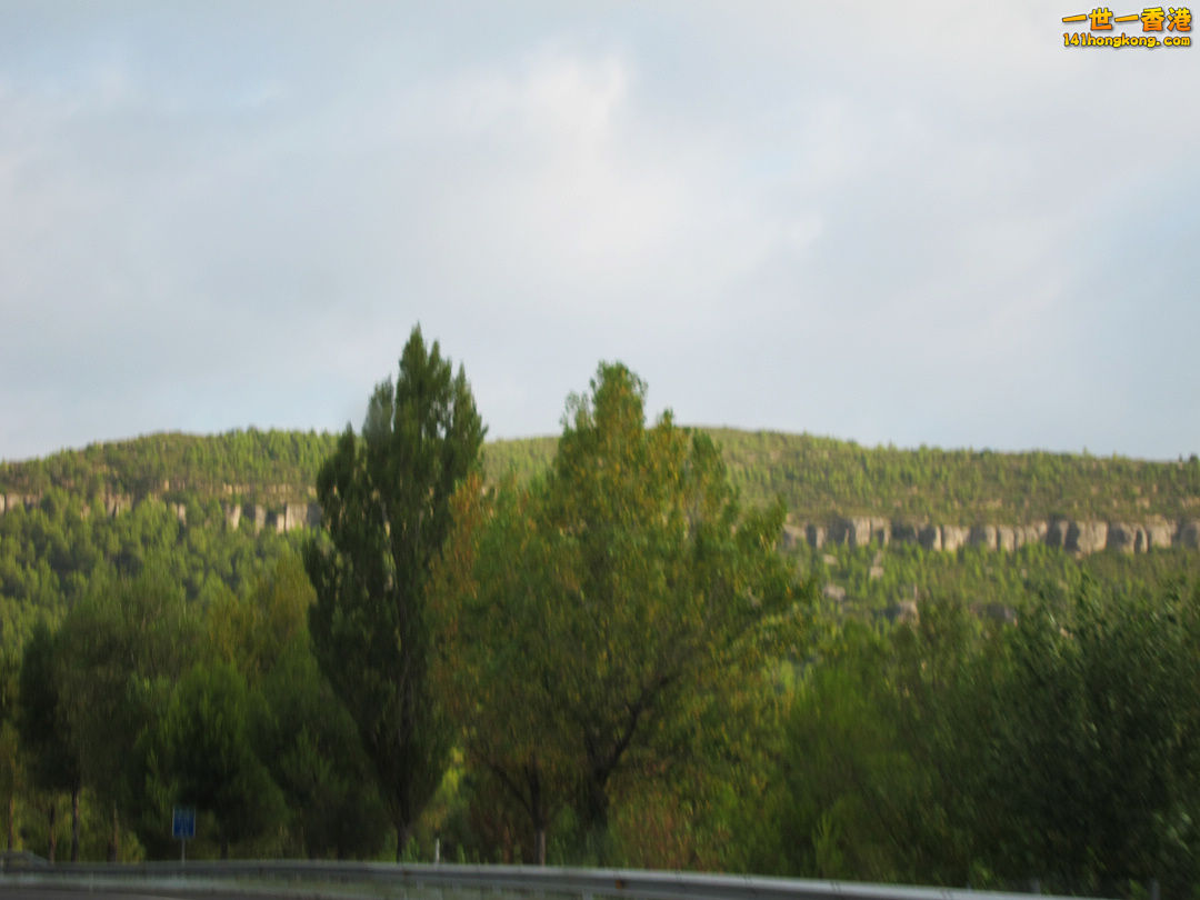 IMG_8901.jpg