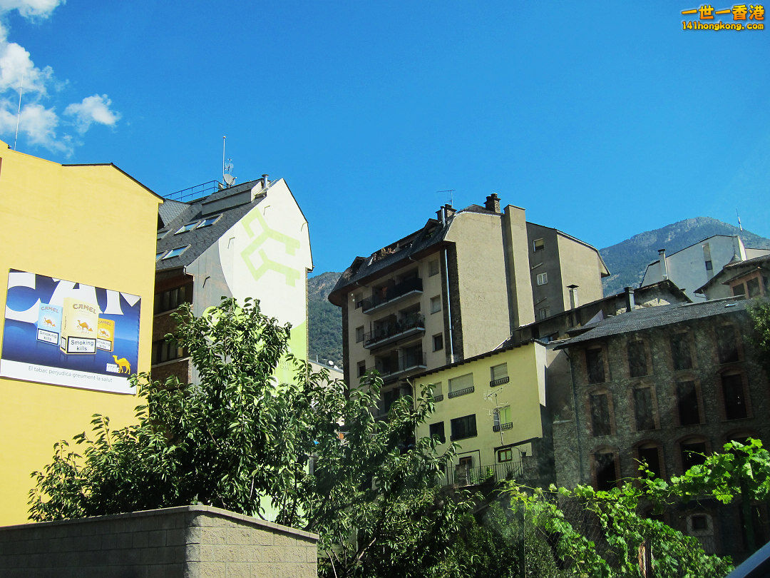 IMG_8912.jpg