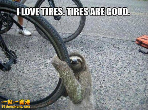 funny-sloth-hugging-bike-biycycle-tire-cuddling-pics-600x448.jpg