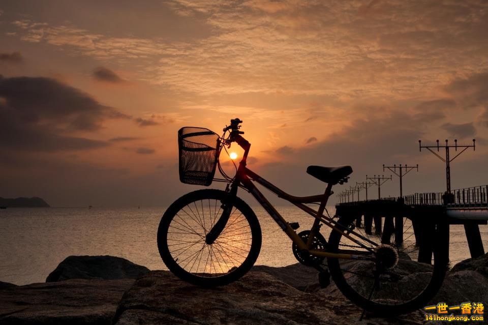 單車.jpg
