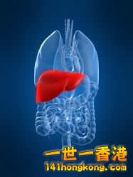 養肝、保肝 5.jpg